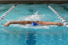 Swimming vs Bentley  Wheaton College Swimming & Diving vs Bentley College. - Photo by Keith Nordstrom : Wheaton, Swimming & Diving